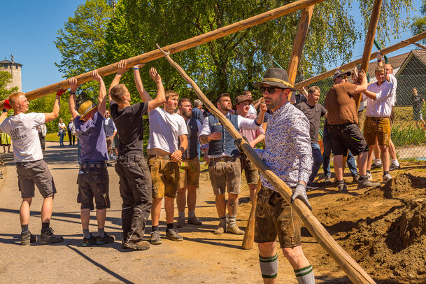 Thumbnail: _JA 31418 Maifest Hohenried 2026.jpg